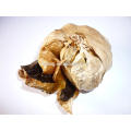 Black Garlic for UK Market